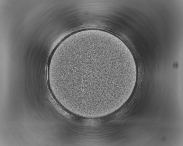 X0000113940796200911061240