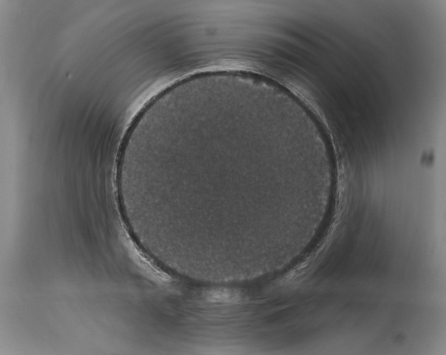 X0000113940797200911061240