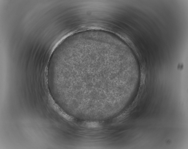 X0000113940798200911061240