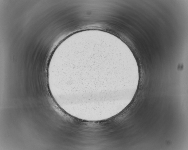 X0000113940800200911061240
