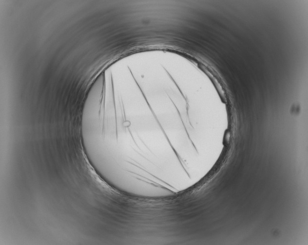 X0000113940801200911061240
