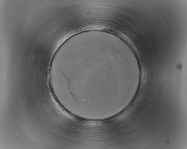 X0000113940802200911061240