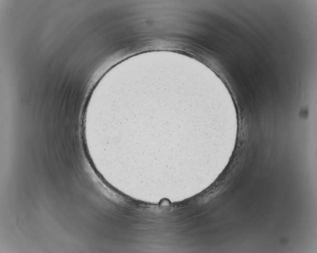 X0000113940803200911061240
