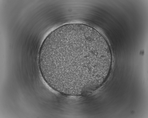 X0000113940805200911061240