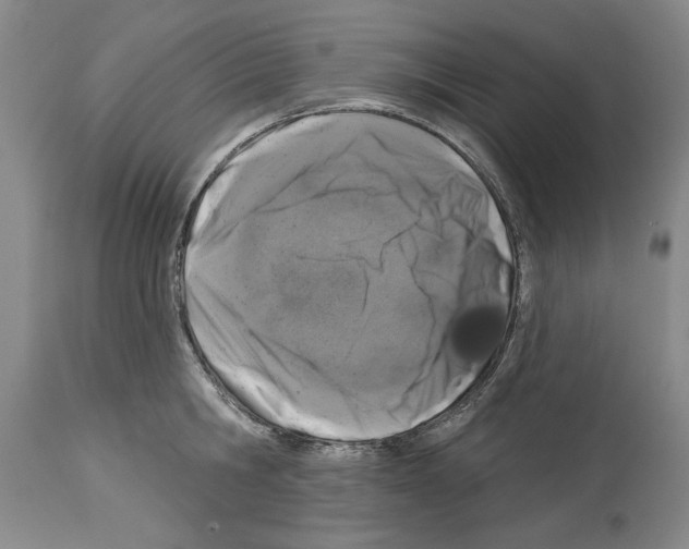 X0000113940806200911061240