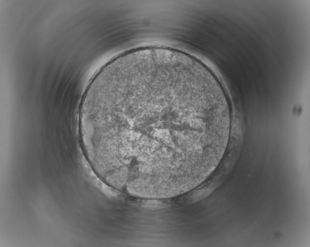 X0000113940807200911061240
