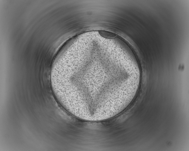 X0000113940809200911061240