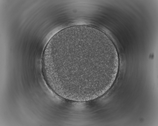 X0000113940810200911061240