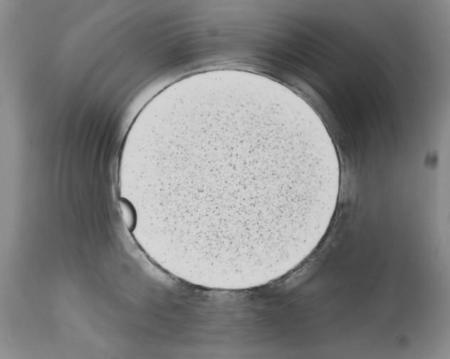 X0000113940812200911061240