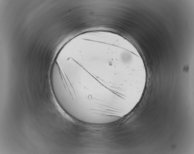X0000113940813200911061240