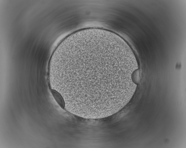 X0000113940815200911061240