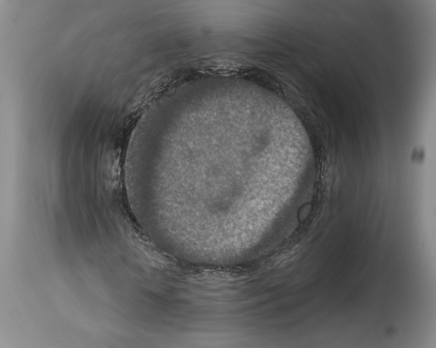 X0000113940818200911061239