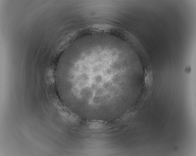 X0000113940819200911061239