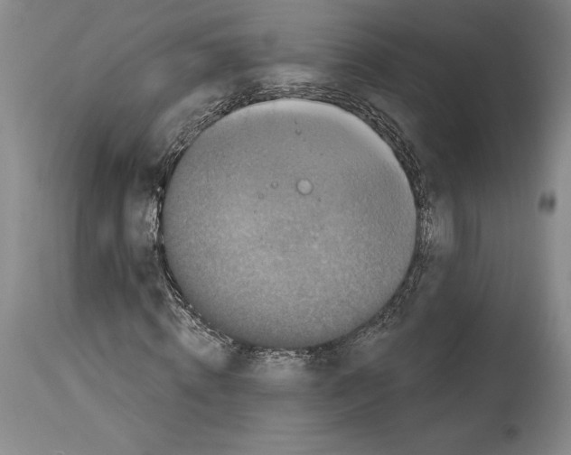 X0000113940820200911061239