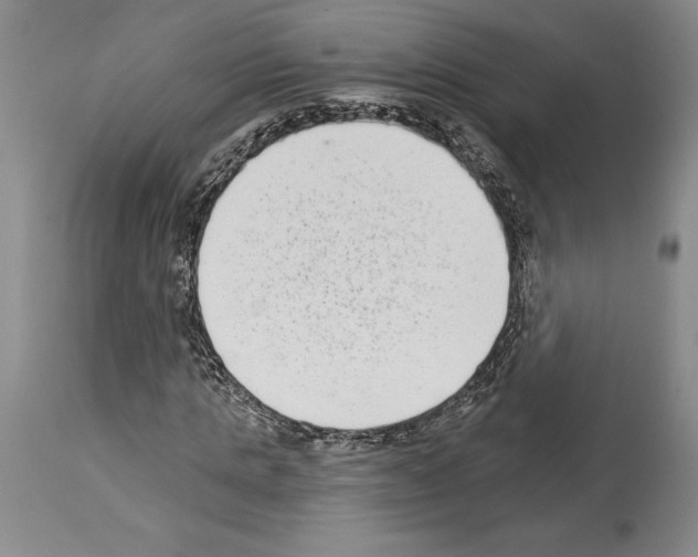 X0000113940821200911061239