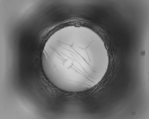 X0000113940822200911061239