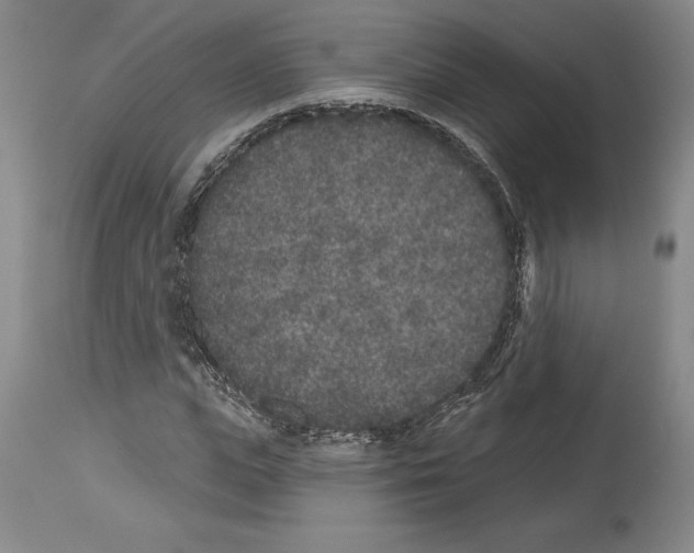 X0000113940823200911061239