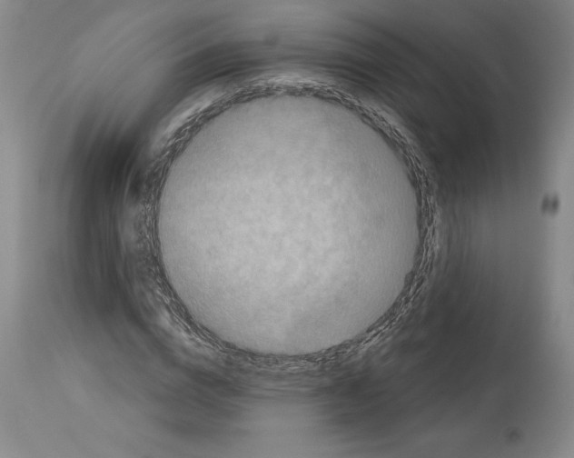 X0000113940824200911061239