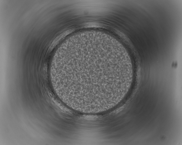 X0000113940825200911061239