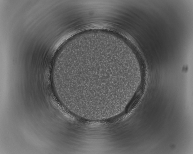 X0000113940826200911061239