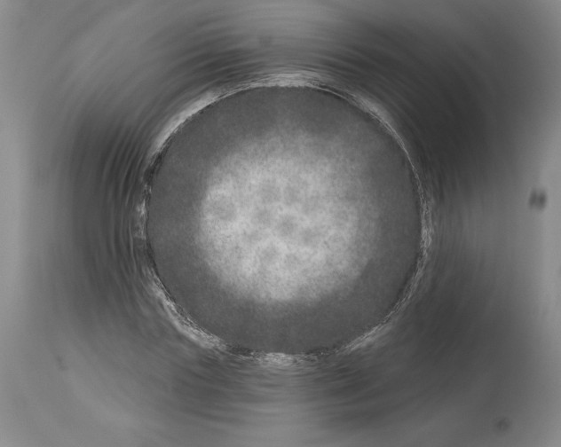 X0000113940827200911061239