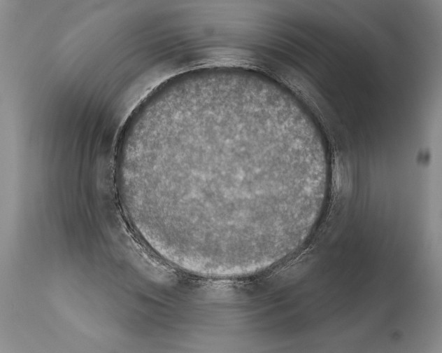 X0000113940828200911061239