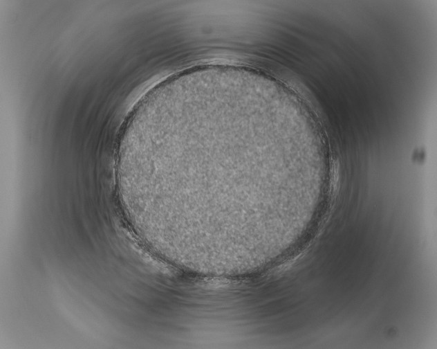 X0000113940829200911061239