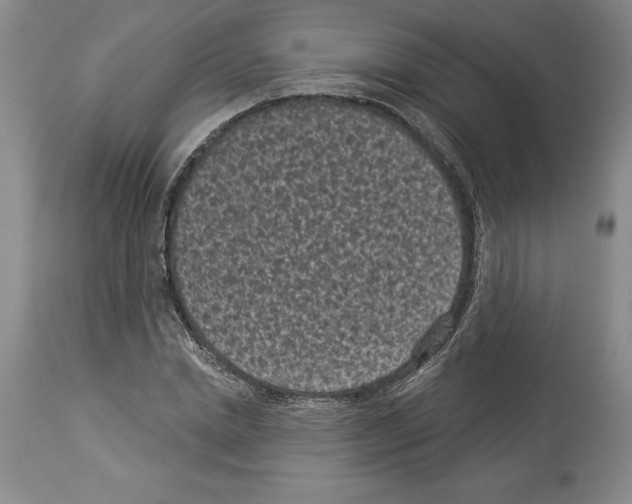 X0000113940830200911061239