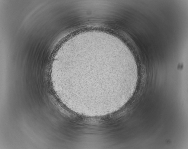 X0000113940831200911061239