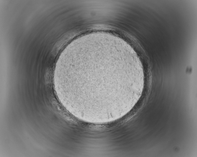 X0000113940833200911061239