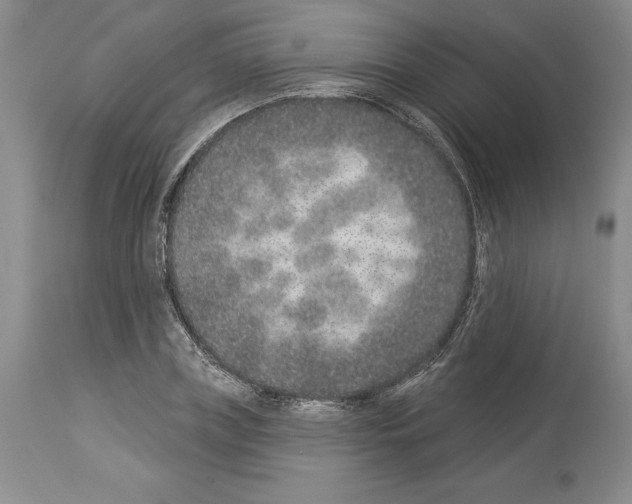 X0000113940835200911061239