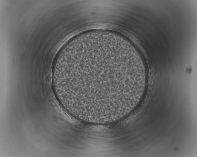 X0000113940837200911061239