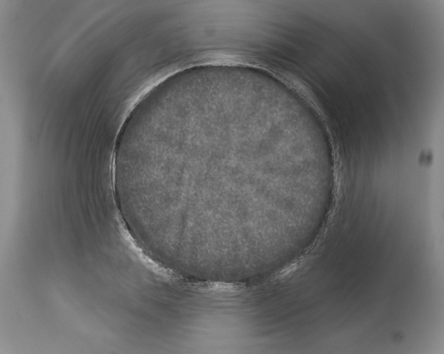 X0000113940839200911061239
