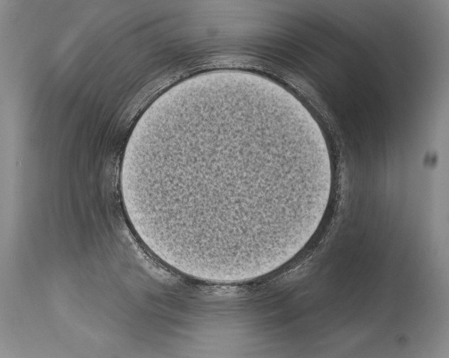 X0000113940841200911061240