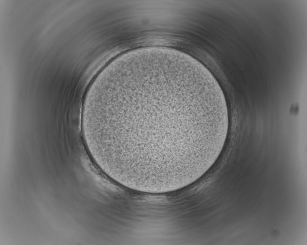 X0000113940844200911061240