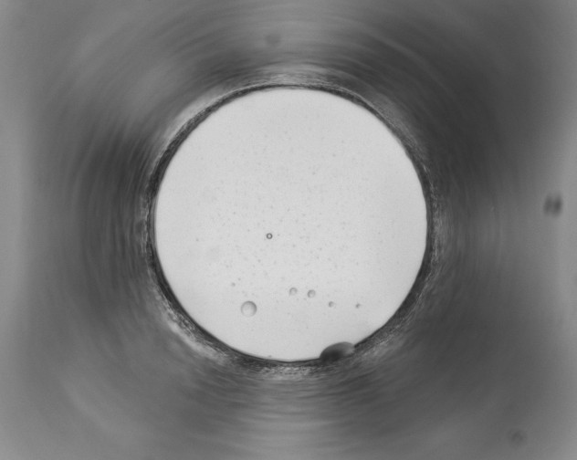 X0000113940846200911061240
