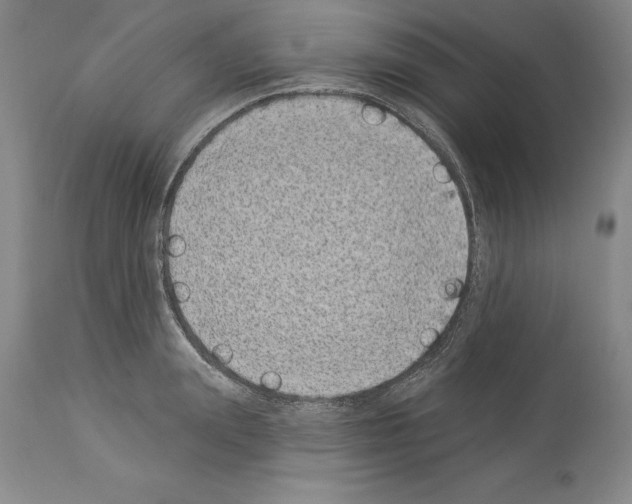 X0000113940847200911061240