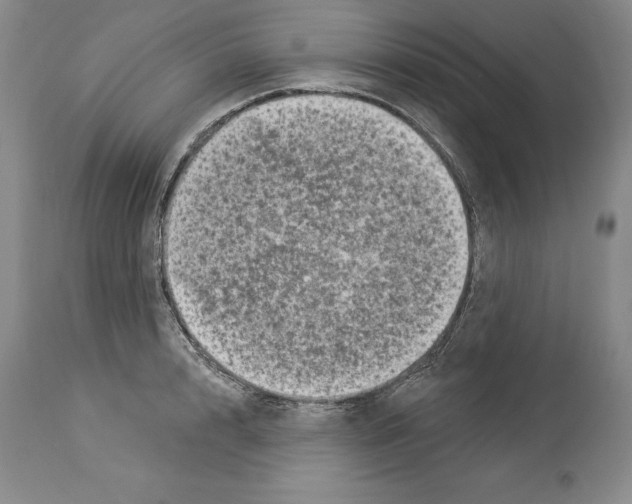 X0000113940848200911061240