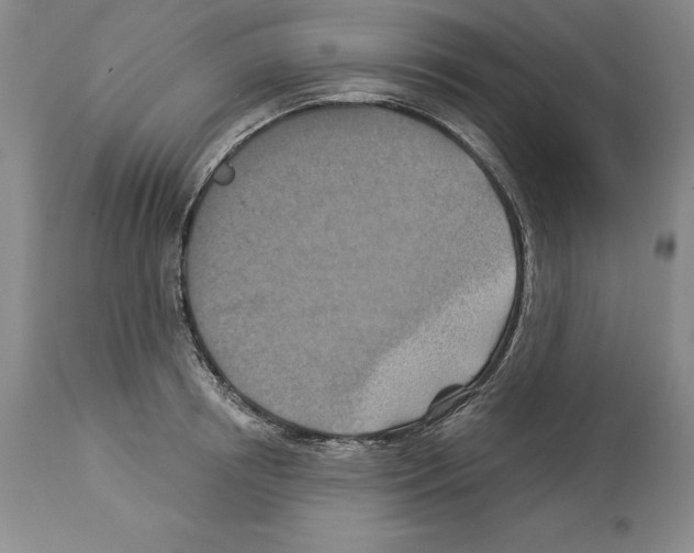 X0000113940850200911061240