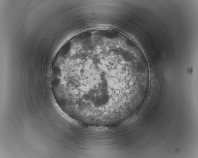 X0000113940851200911061240