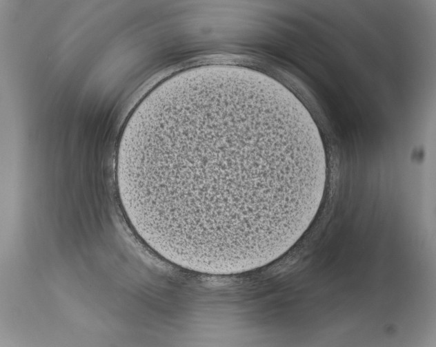 X0000113940852200911061240