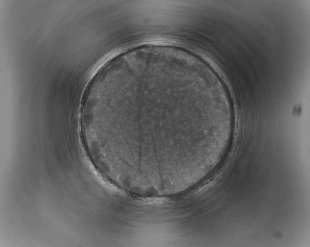 X0000113940853200911061240