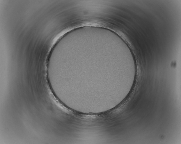 X0000113940854200911061240