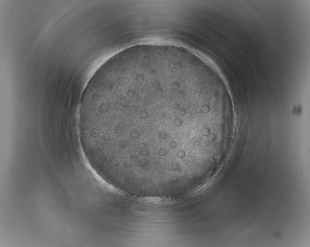 X0000113940855200911061240