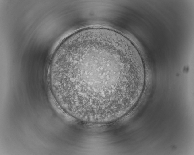 X0000113940856200911061240
