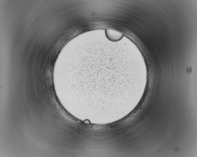 X0000113940857200911061240