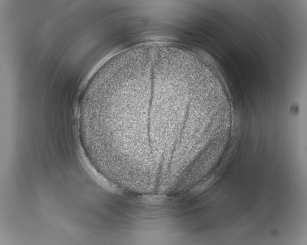 X0000113940859200911061240