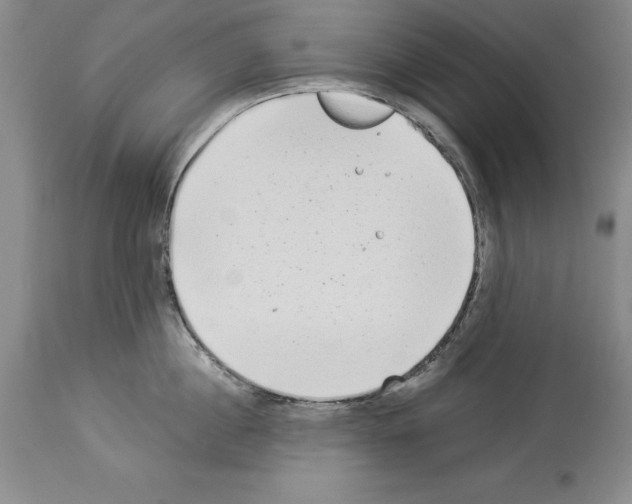 X0000113940860200911061240