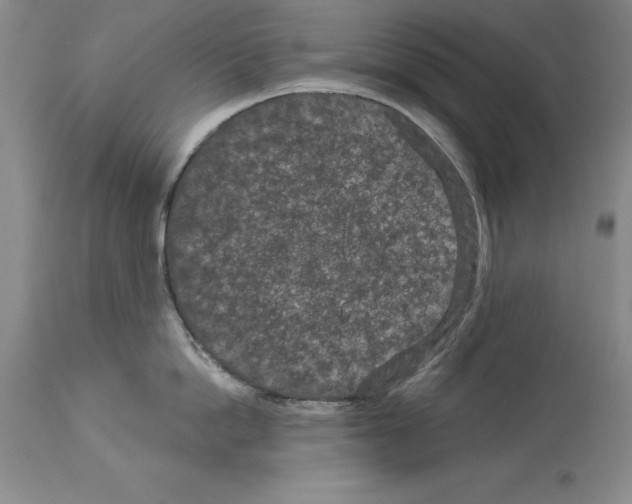 X0000113940862200911061240