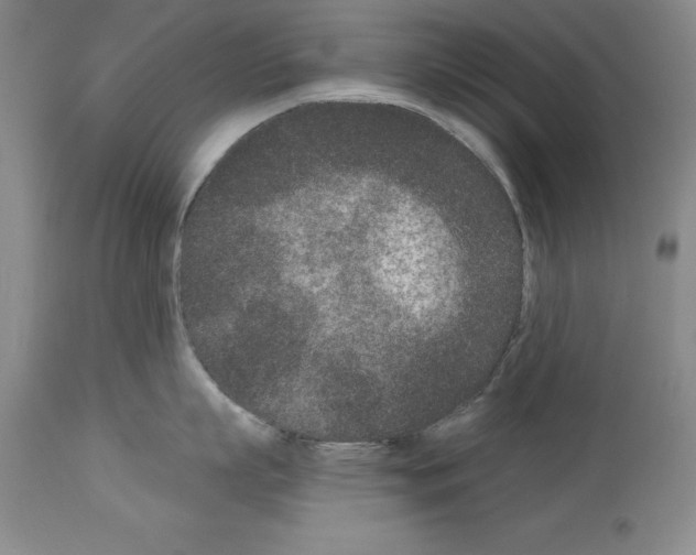 X0000113940863200911061240